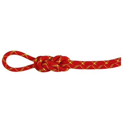 Mammut - 8.0 Alpine Core Protect Dry Rope - Halbseil Länge 50 m rot/weiß Image