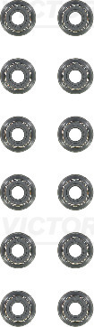 VICTOR REINZ Dichtungssatz, Ventilschaft 12-40616-03 für RENAULT NISSAN 13207CJ40A(12X) 13207-CJ40A(12X) Image