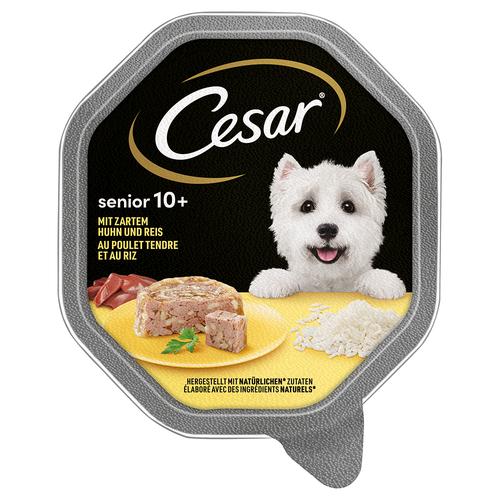 14x150g Cesar Senior 10+ Schale mit Huhn und Reis Hundefutter nass