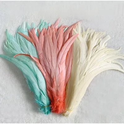 Natural 50pcs Rooster Tail Feather Plumes 25-45CM 10-18inch Beige DIY Dyed Cock Tail Clothing