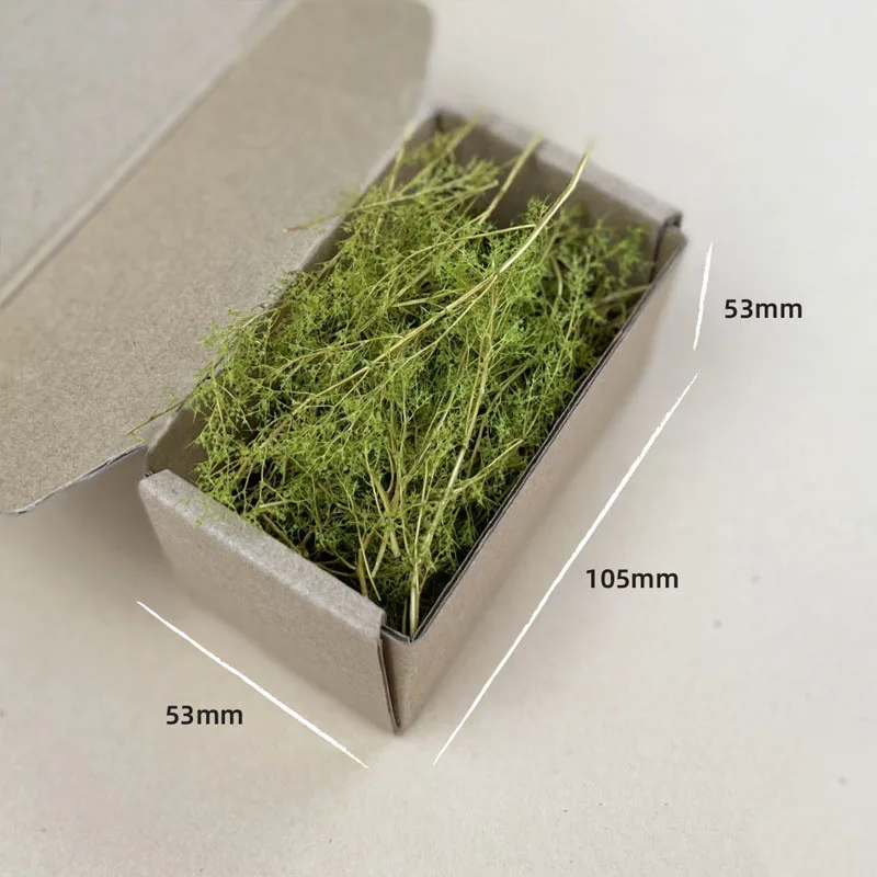 Kit de modèle d'herbe sèche, plante de quinoa, bricolage, Table de sable militaire, matériaux de scène pour Diorama HO, aménagement paysager ferroviaire, fabrication de modèles