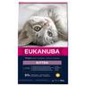 10kg Healthy Start Kitten Eukanuba Dry Cat Food