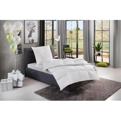 Gänsedaunenbettdecke RIBECO "Kalle", weiß, B:155cm L:220cm, Bezug: 100% Baumwolle. Füllung: 90% Gänsedaunen, 10% Gänsefeder, Bettdecken, nachhaltig und pflegeleicht