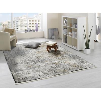 Teppich OCI DIE TEPPICHMARKE "IMPRESSION CASSINA", bunt (grau, multi), B:140cm H:8mm L:200cm, Viskose, Teppiche, Vintage, feine Fransen, leichter Glanz durch Viskose, Wohnzimmer Image