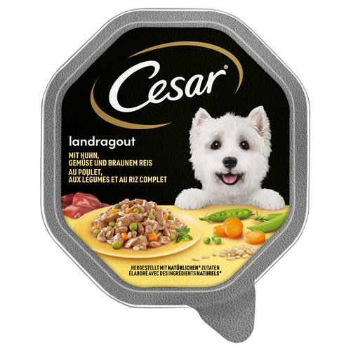 14x 150g Landragout mit Huhn, Gemüse und braunem Reis Cesar Hundefutter nass