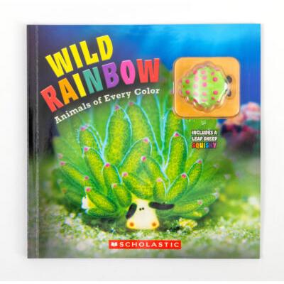 Wild Rainbow: Animals of Every Color with Squishy