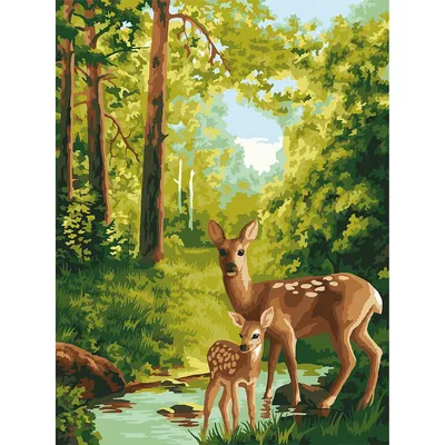 Malen nach Zahlen Rehe im Wald, 30 x 40 cm