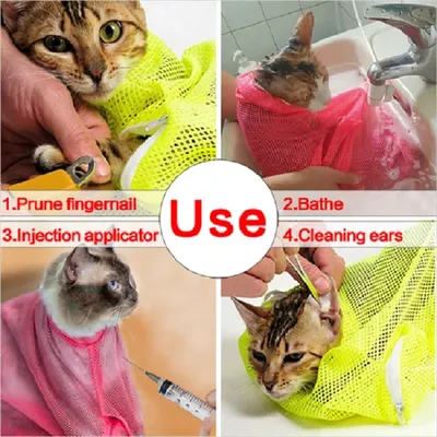 Cat+Supplies
