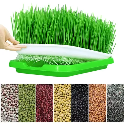 Microgreens Sprouter Tray Hydroponic / Sprouting Tray For Sprout Horticultural Hydroponic Systems