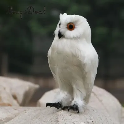 MagiDeal Gefälschte Künstliche Eule Vogel Feder Realistische Taxidermy Home Garten Decor Weiß Garten Handwerk Dekorationen Zubehör
