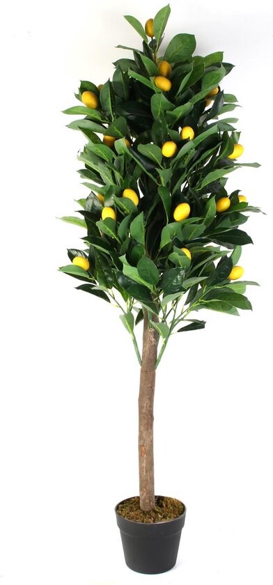 NATURN LIVING Zitronenbaum aus Kunststoff – ø 16 x 125 cm – Citrus Limon – Künstlicher Baum – Wartungsfreier Baum – Kunstpflanze – Gelb Image