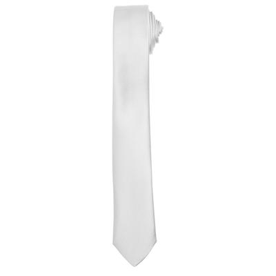 Premier - Krawatte für Herren/Damen Unisex (Silber) Image