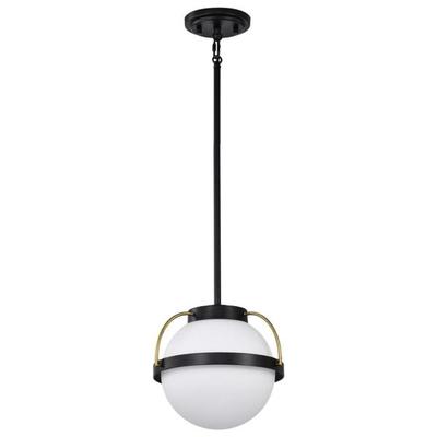 Nuvo Lighting 67773 - 1 Lamp Matte Black Lakeshore Indoor Pendant Light Fixture (LAKESHORE 1 LT SMALL PENDANT (60-7773))