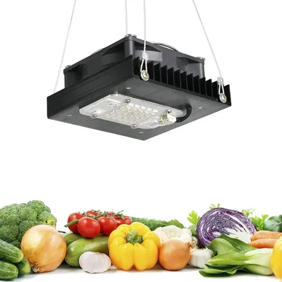 50w 660nm Cob LED Grow Light Schweiß frei 220V LED Licht für Pflanzen wachsen wachsen Licht Zelt Voll spektrum LED Phytolamp