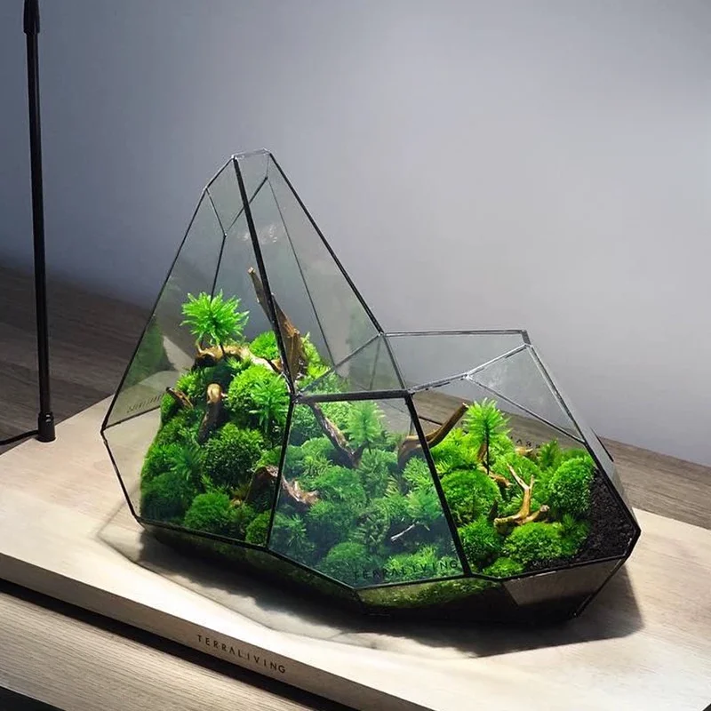 Mikro Landschaft Glas Vase Regenwald Terrarium Moos Pflanzer Eco Vase Home Decor Geometrische Glas Blumen Zimmer Hydrokultur Vase
