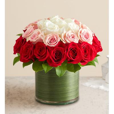 1-800-Flowers Flower Delivery Ombre Roses