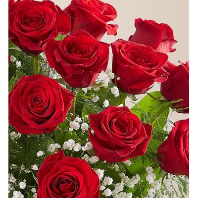 1-800-Flowers Flower Delivery Milestone Anniversary Bouquet 25 Stems Of Red