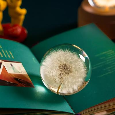 TEMU Real Dandelion Paperweight, Dandelion Resin Ball Gift Box, 2.75 Inch (70 Mm) Home Office Desktop Decor Decor, Birthday, Wedding Gifts And Valentine's Day (this Product Does Not Come With A Base)