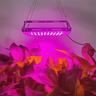 1pc LED Grow Lights 5W 50/96 LED Beads 5V Work Light for Plants Light Hydroponic Lamp Greenhouse Flower Seed Grow Tent