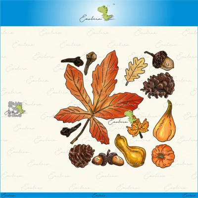 Fall Decorations metal cutting dies 2021 new diy molds Scrapbooking Paper Making die cuts crafts