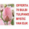 Offerta 70 bulbi tulipano darwin hybrid mystic van eijk bulbs