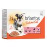 Briantos Delicious Paté 12 x 100 g Umido per cane - Manzo