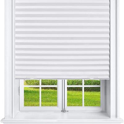 Window+Blinds