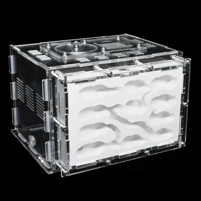 DIY Acrylic Ant Farm Gypsum Ecological Ant House for Pet Anthill Ant Nest Workshop with Feeding Area Insect Villa castle