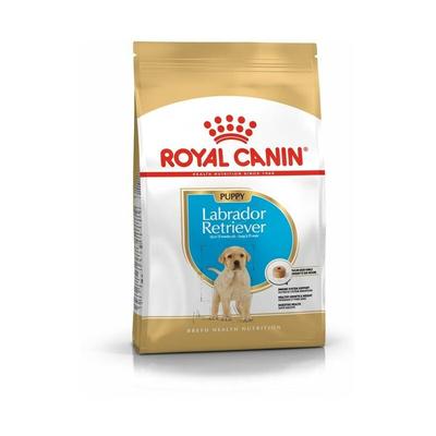 Bhn Labrador Retriever Puppy - Welpen-Trockenfutter - 3kg - Royal Canin