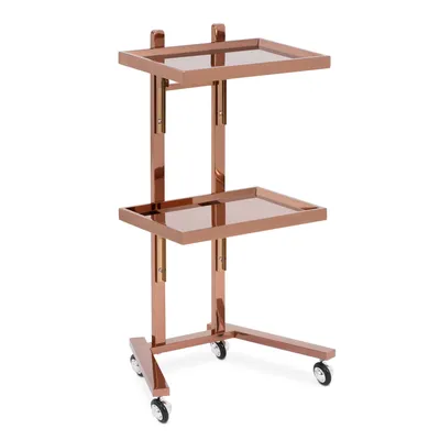 physa Kosmetikwagen - 2 klappbare Ablagen - bis 10 kg - roségolden - Edelstahl Image