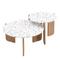 Ensemble de 2 tables basses gigognes blanches rondes pieds bois