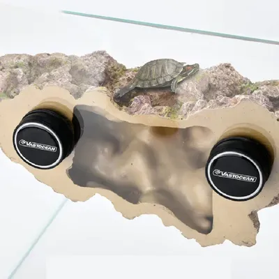 Vasto cean suspendierte Magnets imulation Landschafts bau Stein korallen kratzen Rahmen Schildkröte Image
