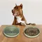 Slow Food Bowl Silikon Hund lecken Matte für Hunde Haustier Slow Food Platte rutsch feste Haustier Anti-Choking Feeder Hundefutter Schüssel Haustier liefert