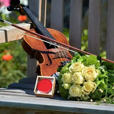 Musical+Instrument+Accessories