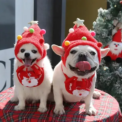 Costume+Hats+Headbands