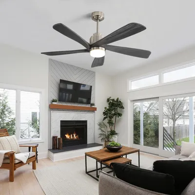 Ceiling+Fans