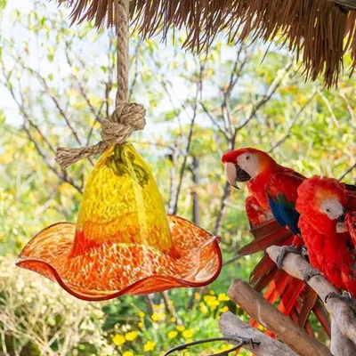 Bird Water Feeders With Hanging Wires Decorative Wild Bird Feeders Attractive Feeding Station