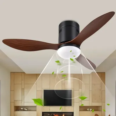 Ceiling+Fans