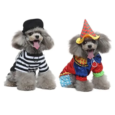 Pet+Costumes