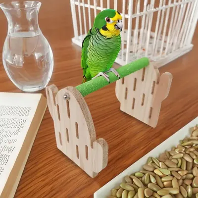 Bird Perch Stand Play Stand Bird Perches Stand Playground. Parakeet Cage Accessories Exercise Toy