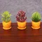 New Artificial Plants Mini Succulents Plants For Wedding Home Garden Office Bedroom Living Room