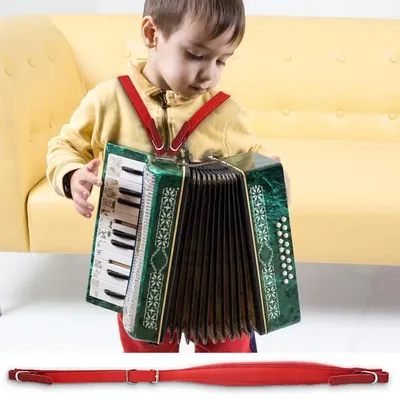 Musical+Instrument+Accessories