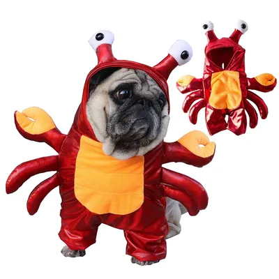 Pet+Costumes