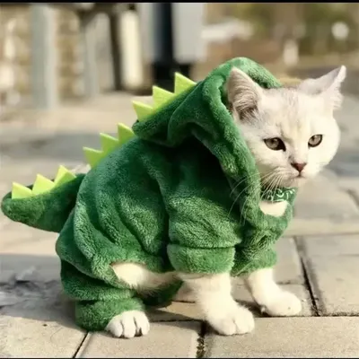 Pet+Costumes