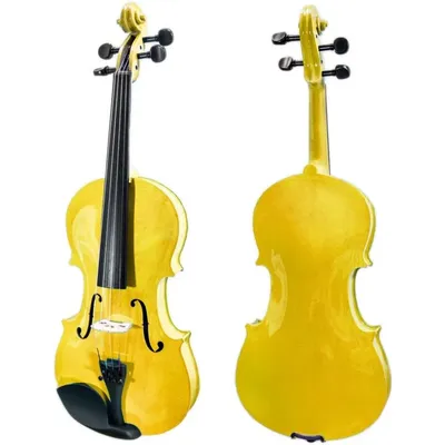 4 String Violin (PTTVN202-4/4-GD) Solid Wood Top Back Sides Neck Reel High Quality Solid Wood Nails