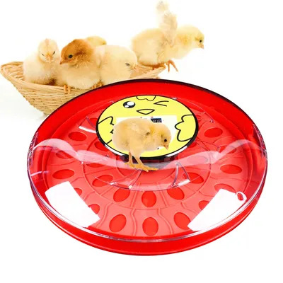 Automatic Intelligent Incubator 30 Eggs Hatchery Incubato Household Chicken Duck Bird Eggs Brooder