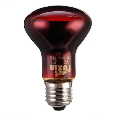 Pet Red Heating Lamp E27 Day Night For Amphibian Snake Lamp Heat Reptile Bulb UV Light 75W 60W 100W