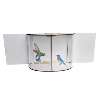 Window Bird Feeder Inside House 360 Clear View Inside House Window Bird Feeder Flat Feeders for