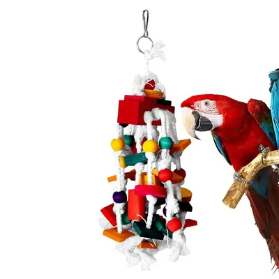 Knot Bird Toy Parrot Toys Multicolored Natural Wooden Blocks Eco-Friendly Enrichment Bite And