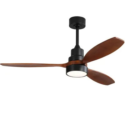 Ceiling+Fans